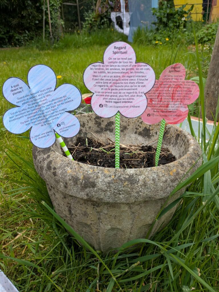 Fête en Herbe – 8